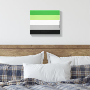 SlipperyJoe's Aromtic Pride Flag Gay Geschenke LGB Leinwanddruck
