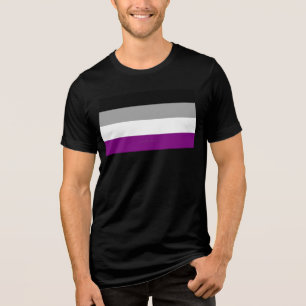 SlipperyJoe's asexuelle Pride-Flagge betont Inklus Tri-Blend Shirt