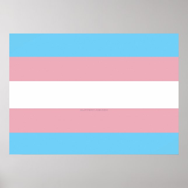 SlipperyJoe's Diversity-Markierung für Transgender Poster (Vorne)