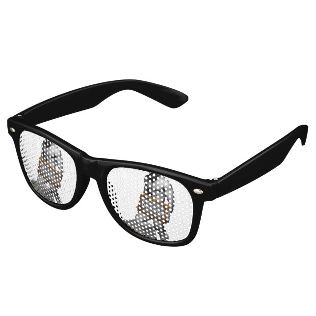 SlipperyJoe's Erntedank Mann mit sechs Päckchen ab Partybrille (Schrägansicht)