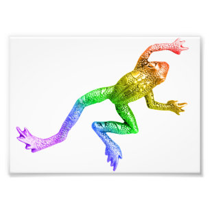 SlipperyJoe's Pride Frog-Figur Lebhaft farbig Fotodruck