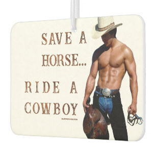 SlipperyJoe's rette Pferd Reitstroh Cowboyhut Mus Autolufterfrischer