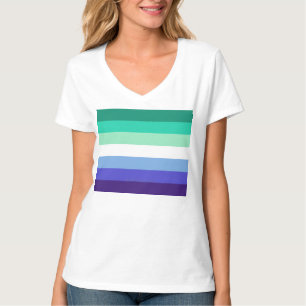 SlipperyJoes trans-inclusive Flaggenpalette für sc T-Shirt