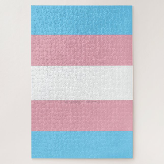 SlipperyJoe's transgender pride flag diversity rig (Vertikal)
