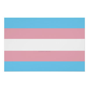SlipperyJoe's Transgender-Stolzflagge Sichtbarkeit Poster