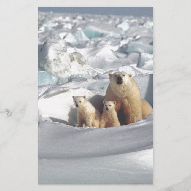 SLOGAN hinzufügen, um Polarbären auf dem Planeten  (Vorderseite)