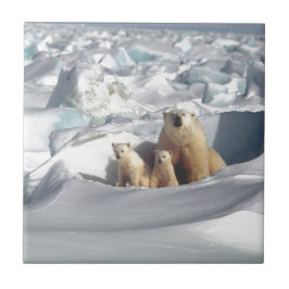 SLOGAN hinzufügen, um Polarbären auf dem Planeten  Fliese