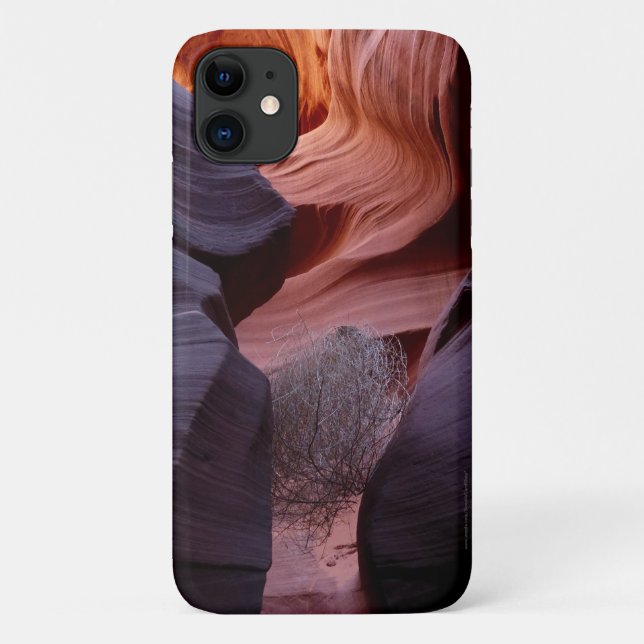 Slot Canyon Tumbleweed Southwest Abstract  Case-Mate iPhone Hülle (Rückseite)