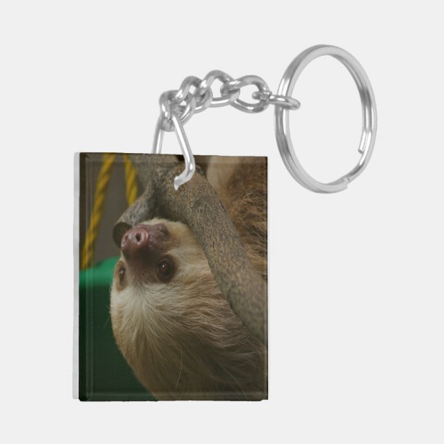 Sloth (Dos gauche)