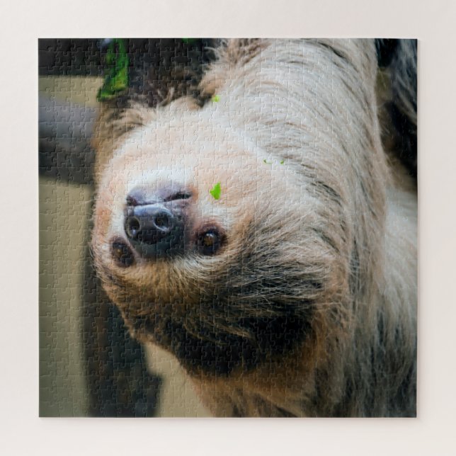 Sloth 001 (Vertikal)