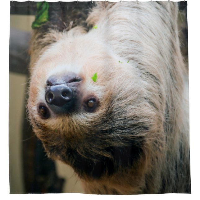 Sloth 001 duschvorhang (Vorderseite)