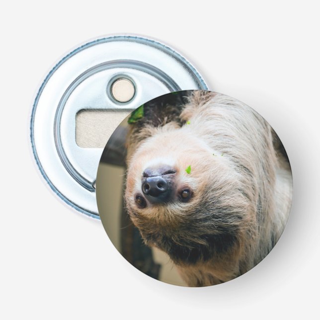 Sloth 001 flaschenöffner (Vorderseite)