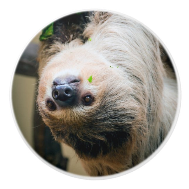 Sloth 001 keramikknauf (Vorderseite)