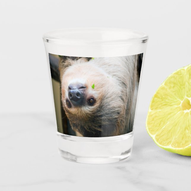 Sloth 001 schnapsglas (Vorderseite)