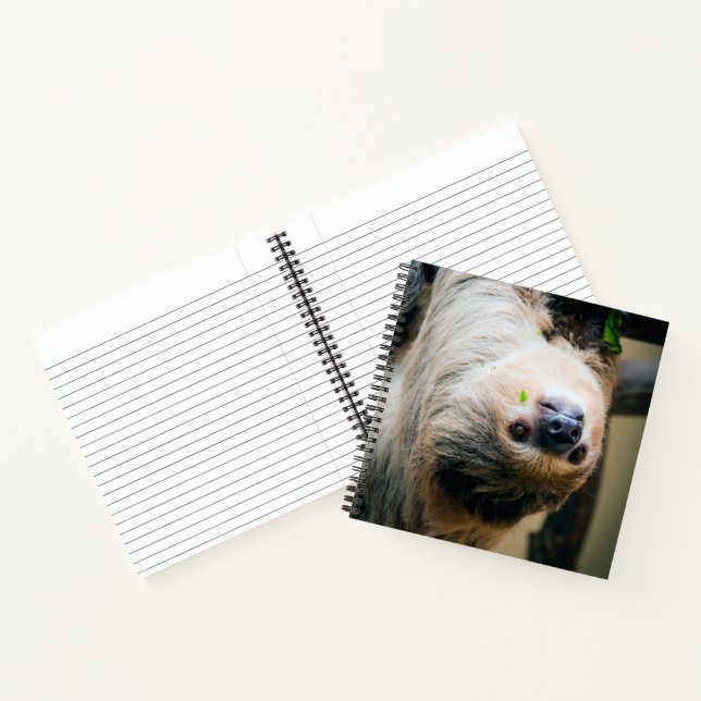 Sloth 005 notizbuch (Innenseite)
