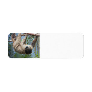 Sloth Address Labels