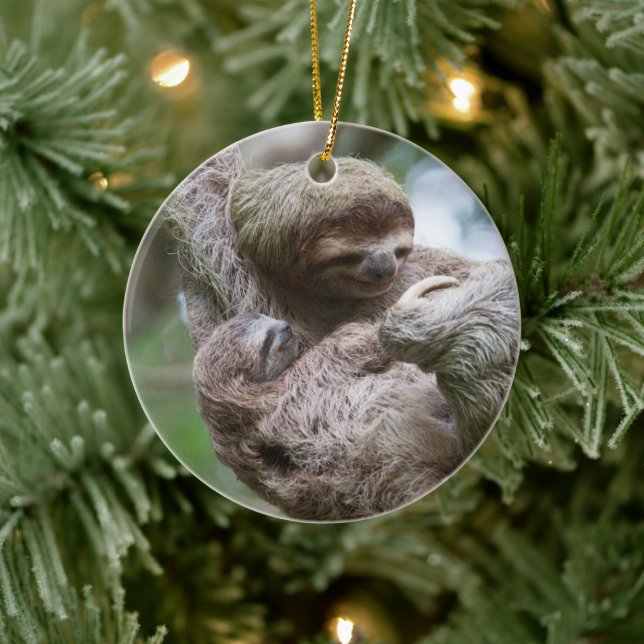Sloth Baby mit Mutter, die von einem Baum hängt Keramik Ornament (Baum)