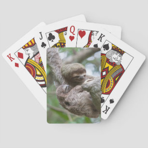 Sloth Baby mit Mutter, die von einem Baum hängt Spielkarten