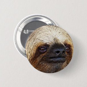 Sloth Button
