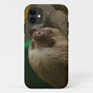 Sloth title_seo2