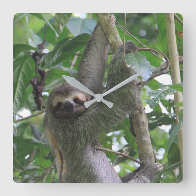 Sloth Clock Quadratische Wanduhr (Vorderseite)