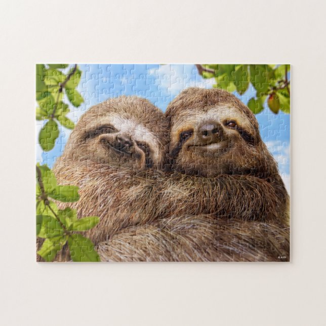 Sloth Couple (Horizontal)