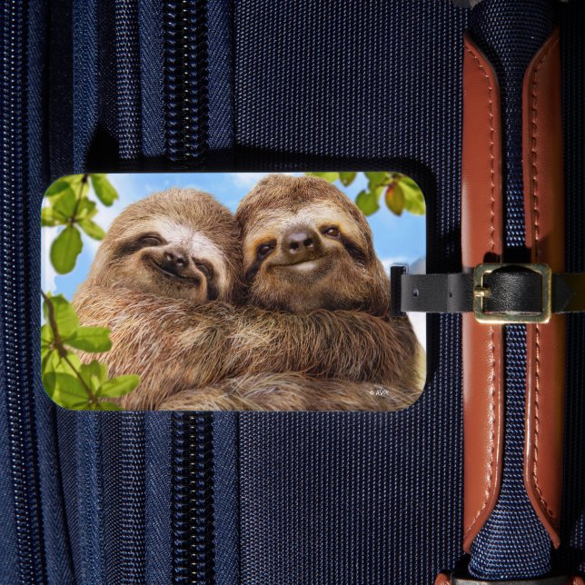 Sloth Couple Gepäckanhänger (Vorderseite Insitu 4)