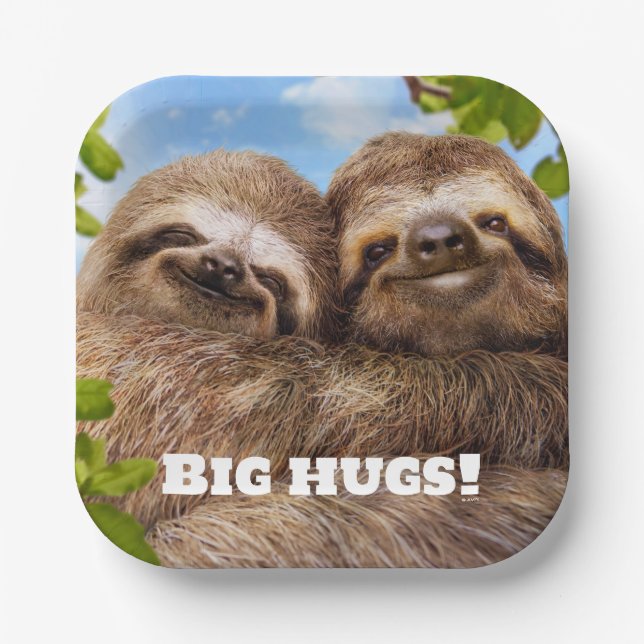 Sloth Couple Pappteller (Vorderseite)
