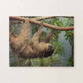 Sloth-Foto-Puzzlespiel