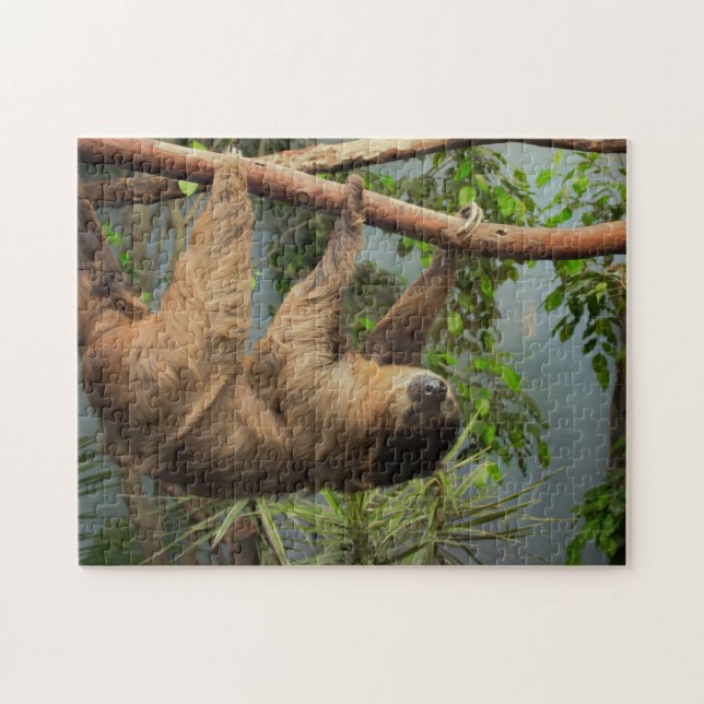 Sloth-Foto-Puzzlespiel (Horizontal)