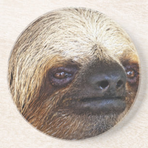 Sloth Getränkeuntersetzer