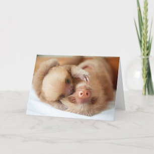 Sloth Greeting Card Karte
