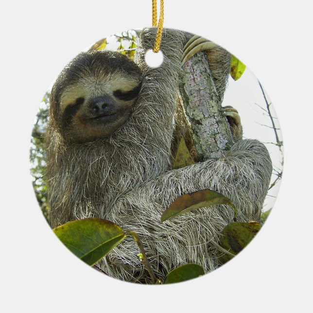 Sloth Keramik Ornament (Vorne)