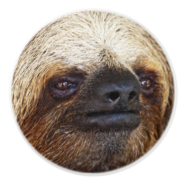 Sloth Keramikknauf (Vorderseite)