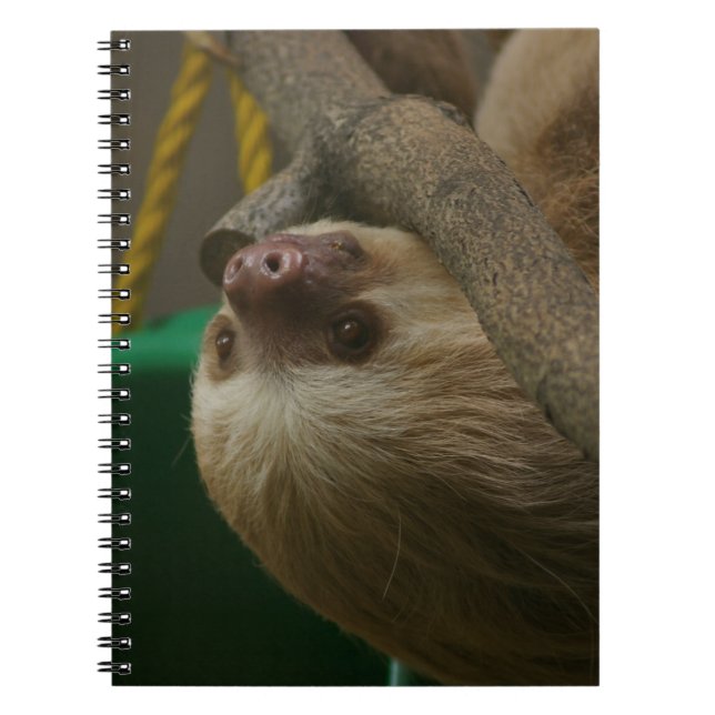 Sloth Notizblock (Vorderseite)