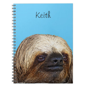 Sloth Notizblock