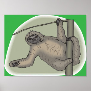 Sloth Poster