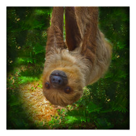 Sloth Rainforest Poster