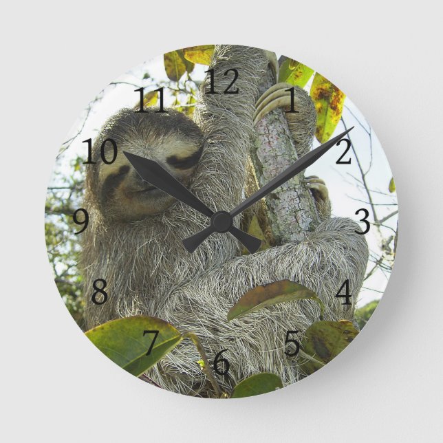 Sloth Runde Wanduhr (Vorderseite)