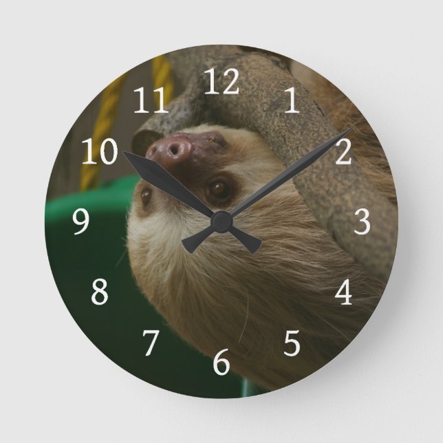 Sloth Runde Wanduhr (Vorderseite)