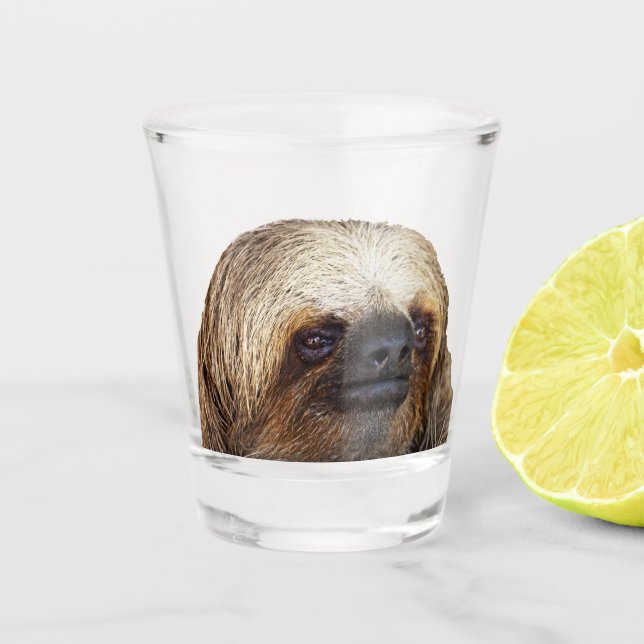 Sloth Schnapsglas (Vorderseite)