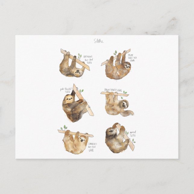 Sloths Classic Feiertagspostkarte (Vorderseite)