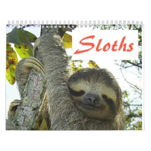 Sloths - Zwölf Monate Adorable Sloth Fotos Kalender