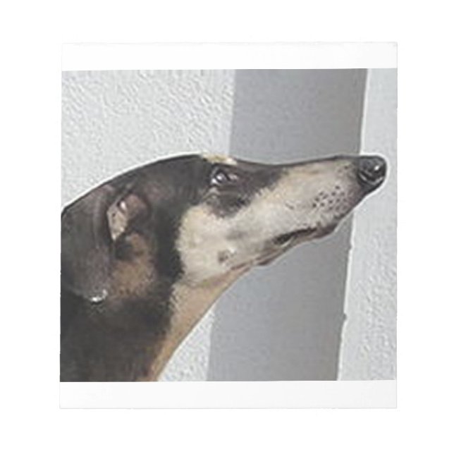 Sloughi.png Notizblock (Vorderseite)