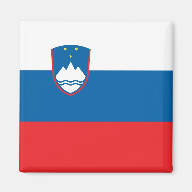 Slovenia Flag Magnet (Vorne)