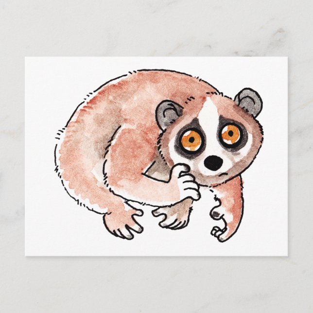 Slow Loris Postcard Postkarte (Vorderseite)