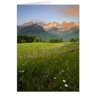 Slowenien Meadow