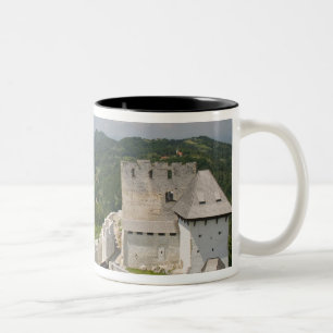 SLOWENIEN, STAJERSKA (Steiermark), Celje: Stadtans Zweifarbige Tasse
