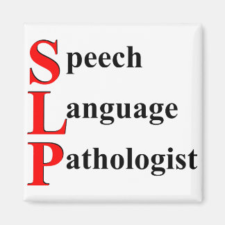 SLP MAGNET
