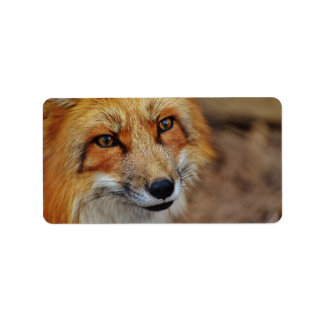 Sly Fox Adressaufkleber